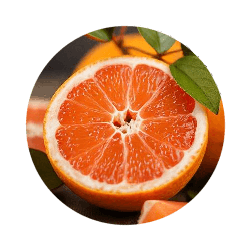 Grapefruit