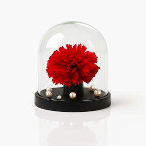 luxury preserved rose UK Amani London Carnation Eclat