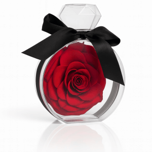 Parfum Eternal Amani London luxury fragrance UK