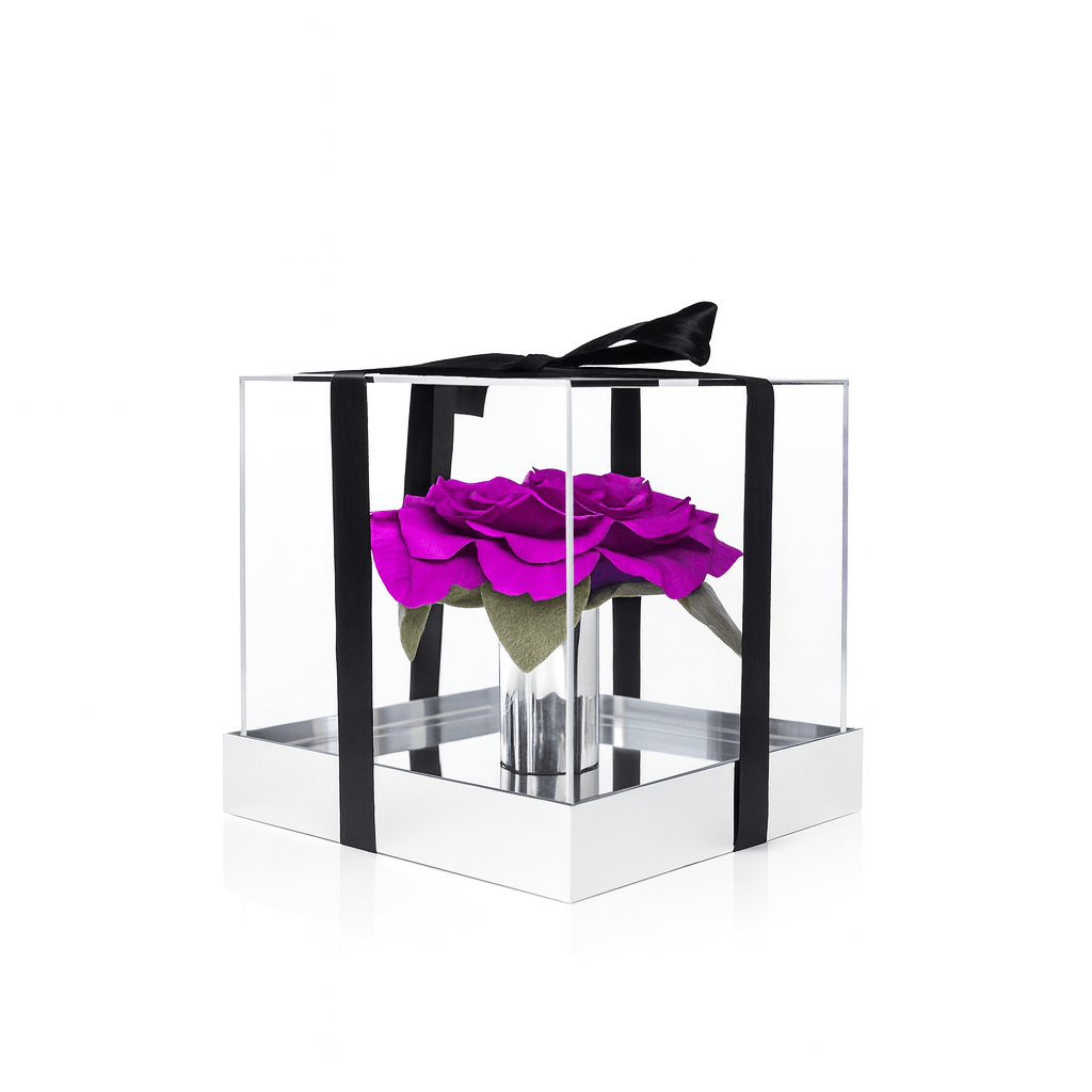Lucid Rose Cube preserved rose in acrylic showcase satin‑black ribbon Amani London